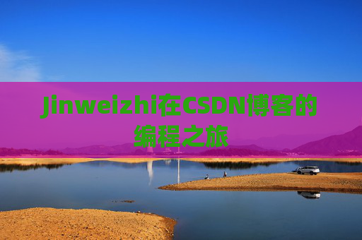 Jinweizhi在CSDN博客的编程之旅